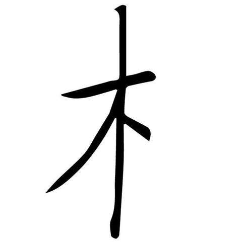 木字部首|木字旁(木部)